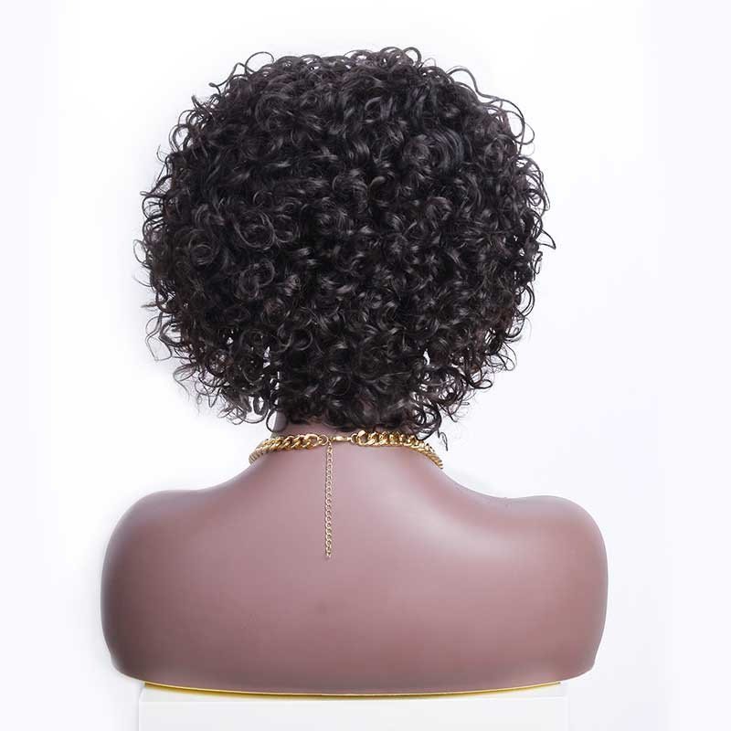 100 Percent Human Hair Pixie Cut Short Curly Wig Transparent Lace Model