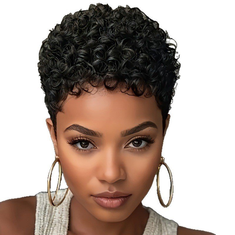 Womens Short Pixie Curly Synthetic Wig Heat Stylable Model TL 0018