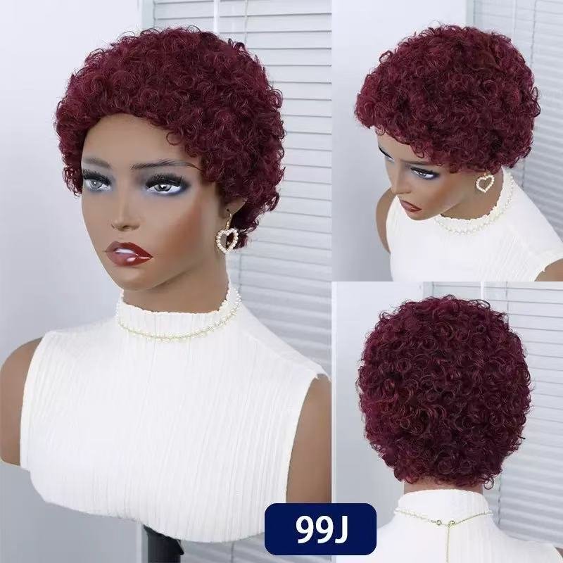 Short Afro Pixie Curly Synthetic Wig 13x4cm Scalp Lace Model H1056